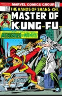 Master of Kung Fu 33