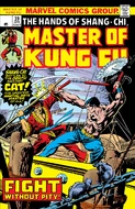 Master of Kung Fu 39