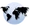 P countries-lightblue.png