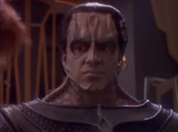 Mavek (Cardassian)