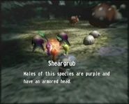 Reel19 Sheargrub