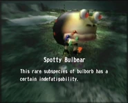Reel22 Spotty Bulbear