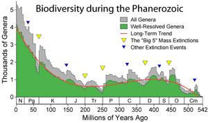 Phanerozoic Biodiversity