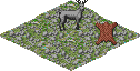 T.tundra.png