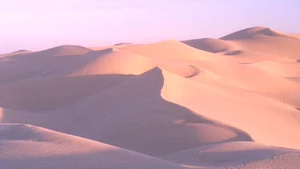Desert.jpg