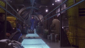 The Catwalk.jpg