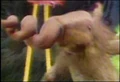 Thumbnail for version as of 20:47, January 11, 2007