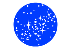 Föderation Logo