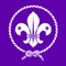 WOSMflagpurple2
