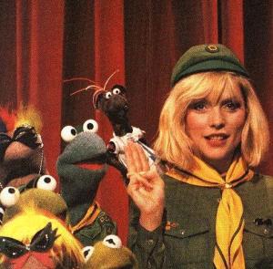 Frogscouts2