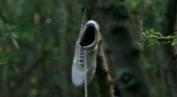 Chaussures BlancheMiniPortal.JPG