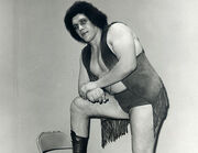 Andrethegiant