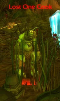 Image of Lost One Cook