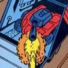Roller g2.jpg