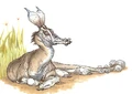 Muudabok.jpg