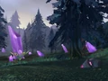 Ammen Vale.jpg