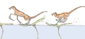 Pom hopper3-woswfg.jpg