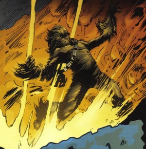 Chewbaccas Tod.jpg