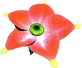 Crimsoncandypopbud.jpg
