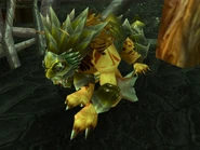 Epic-Yellow-Windrider
