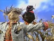 Crow (Sesame Street)