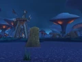 Ango'rosh Grounds.jpg