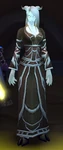 Scribe Saalyn