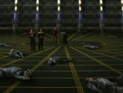 Seven deaktiviert Hirogen Holodeck.jpg
