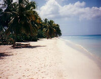 Anacreonbeach