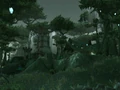 Cenarion Thicket.jpg