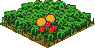Ts.fruit.png