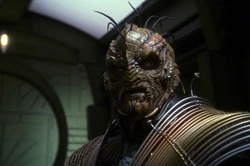 Xindi-Reptilian