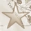 Fr-star
