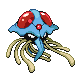 Tentacruel DP