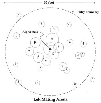 Lek-diagram