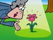 Ewopen-cartoon