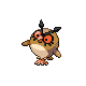 Hoothoot DP