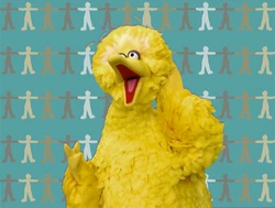 Ewskin-bigbird