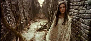 Sarah labyrinth
