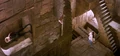 Thumbnail for version as of 23:46, February 16, 2007