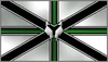 CDSflag