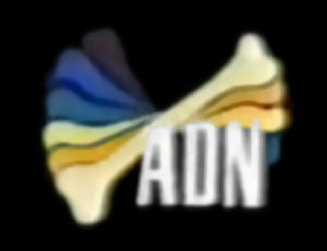 Alldog