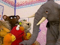 Ewwildanimals-interview.jpg