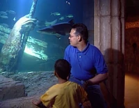 Ewfish-film.jpg