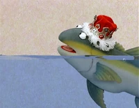 Ewfish-interview.jpg