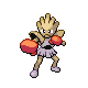 Hitmonchan DP