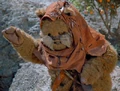 Willy alias Widle.jpg