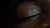 3X05 EkoEye.jpg