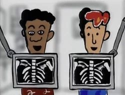 Toon-sameboys