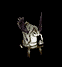 Flyingsheep.gif (6 KB)